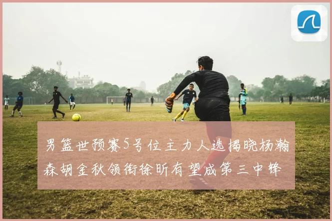 男篮世预赛5号位主力人选揭晓杨瀚森胡金秋领衔徐昕有望成第三中锋