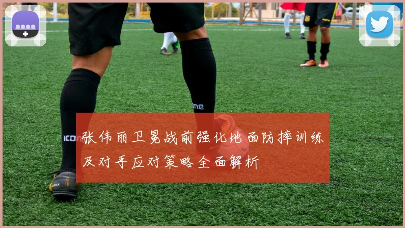 张伟丽卫冕战前强化地面防摔训练及对手应对策略全面解析